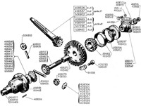 Drive line - Gearbox: differential